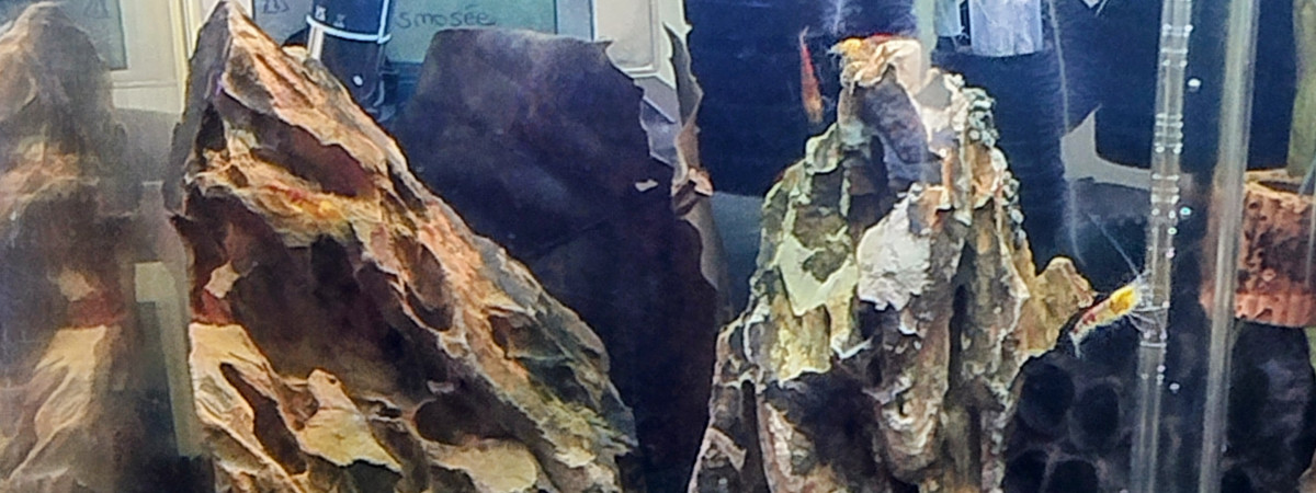 aquarium Aquarium 30L Num 1