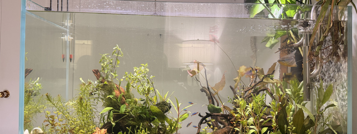 aquarium Visi-White 90P