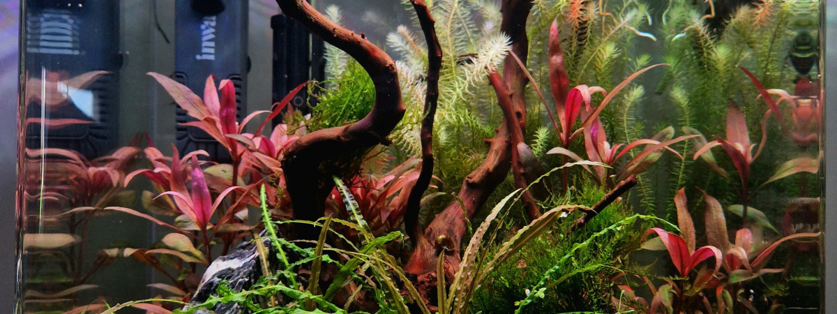 aquarium NANOCUBE DENNERLE 30L