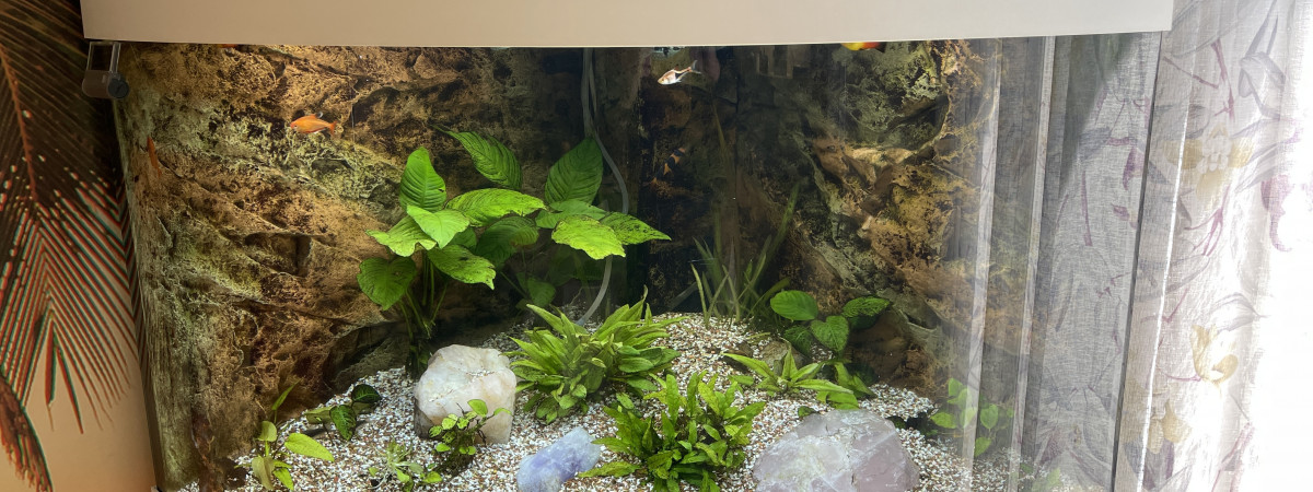 aquarium Juwel trigon 190