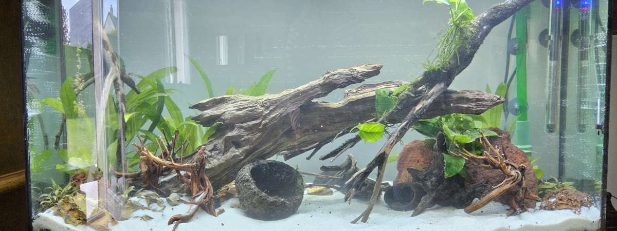aquarium Juwel vision180