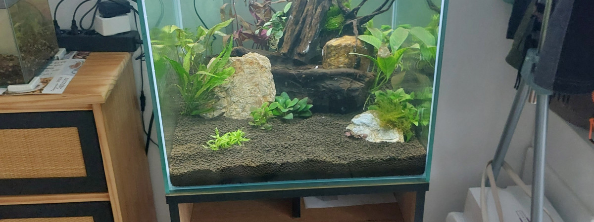 aquarium Aqua 175
