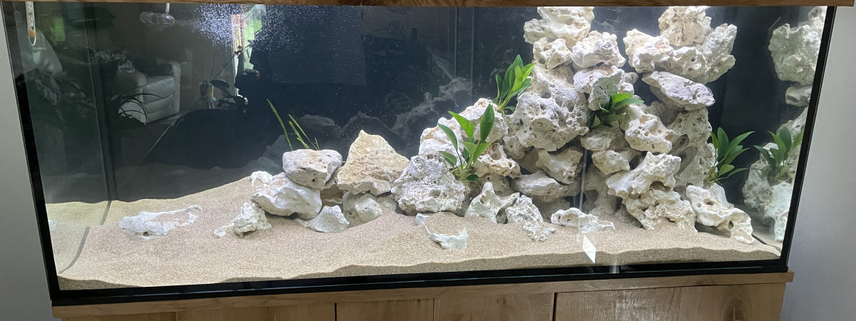 aquarium Tanganyika