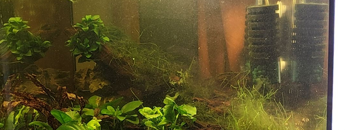 aquarium Aquatlantis tower 50