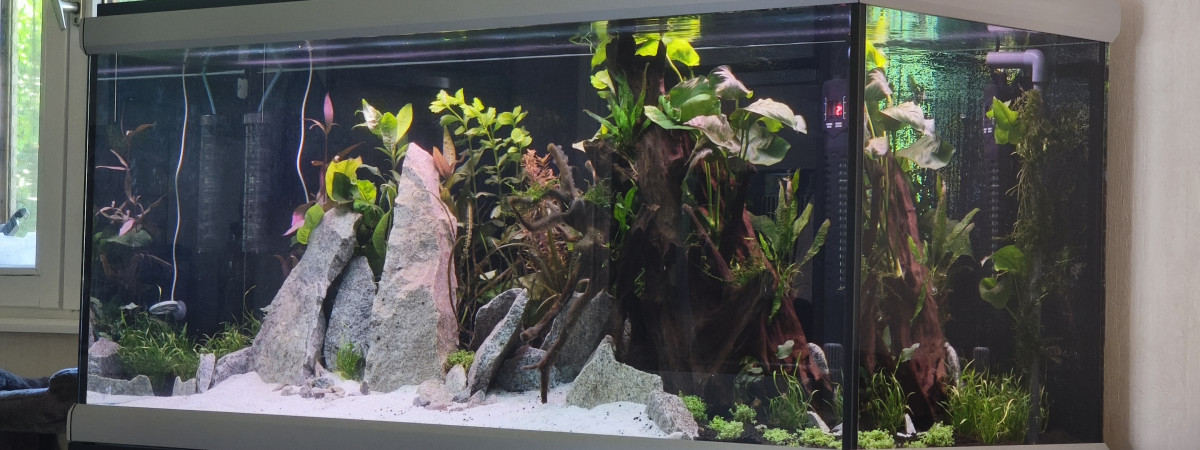 aquarium Move 360l