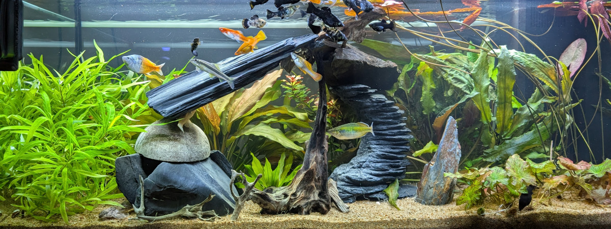 aquarium JUWEL RIO 180 LED