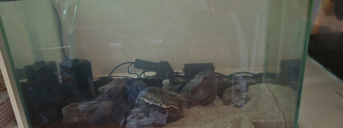 aquarium 17.5L Spé Caridina Red Crystal