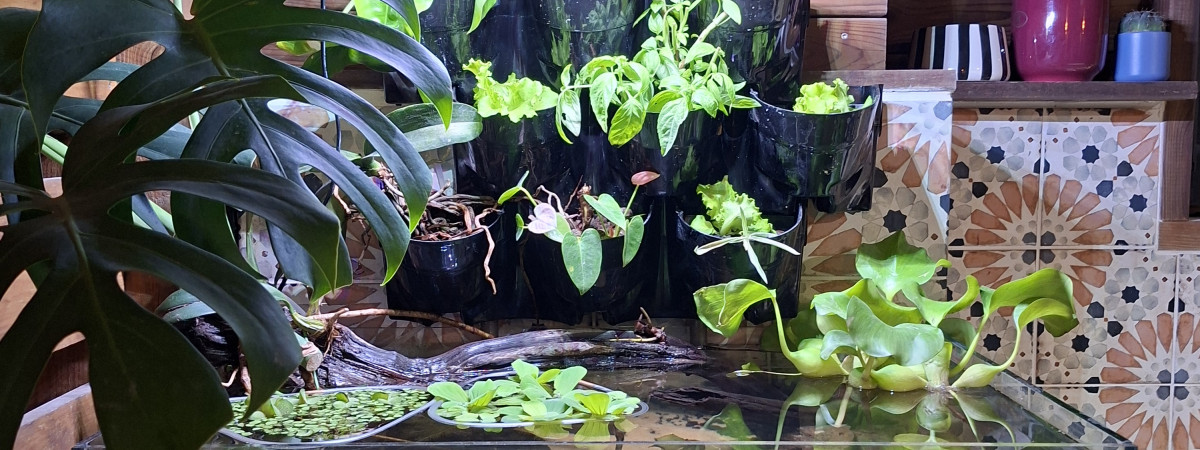 aquarium Zion