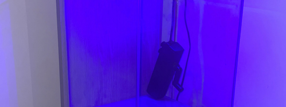 aquarium future nano recif