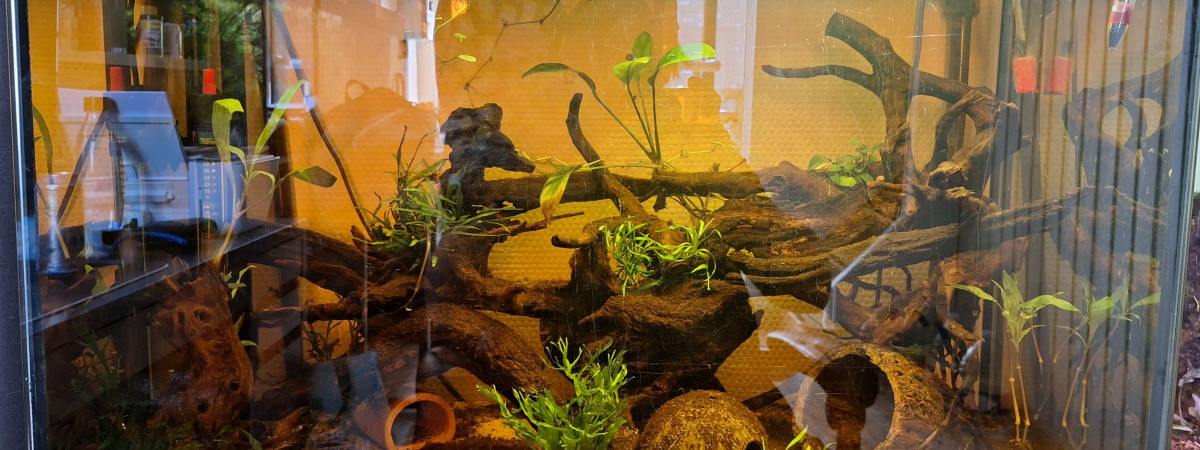 aquarium BlackWater