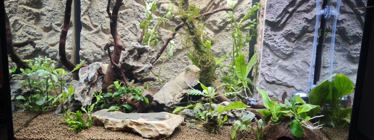 aquarium Lido 120