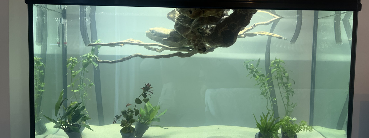 aquarium Stand Globos
