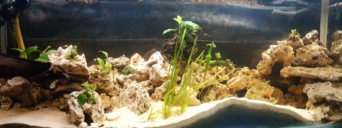 aquarium 580l