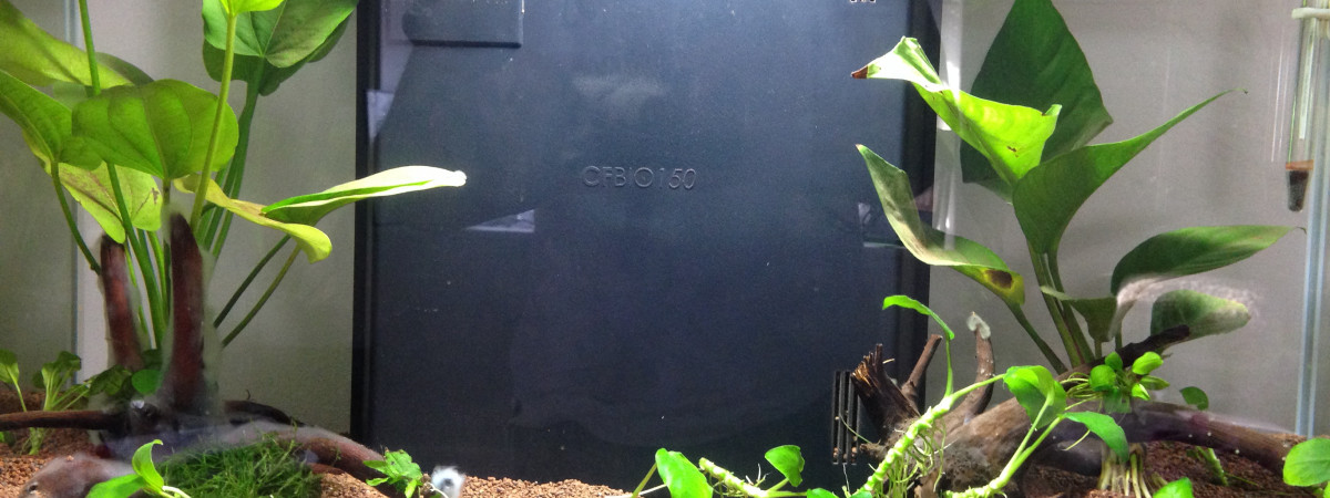 aquarium Ciano 60 Light