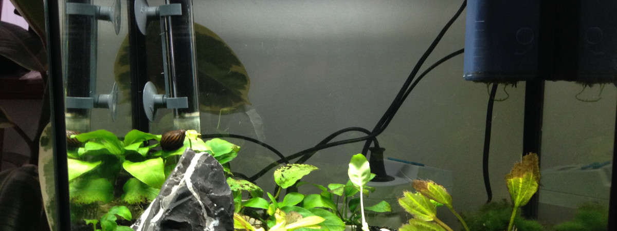aquarium Superfish 30L