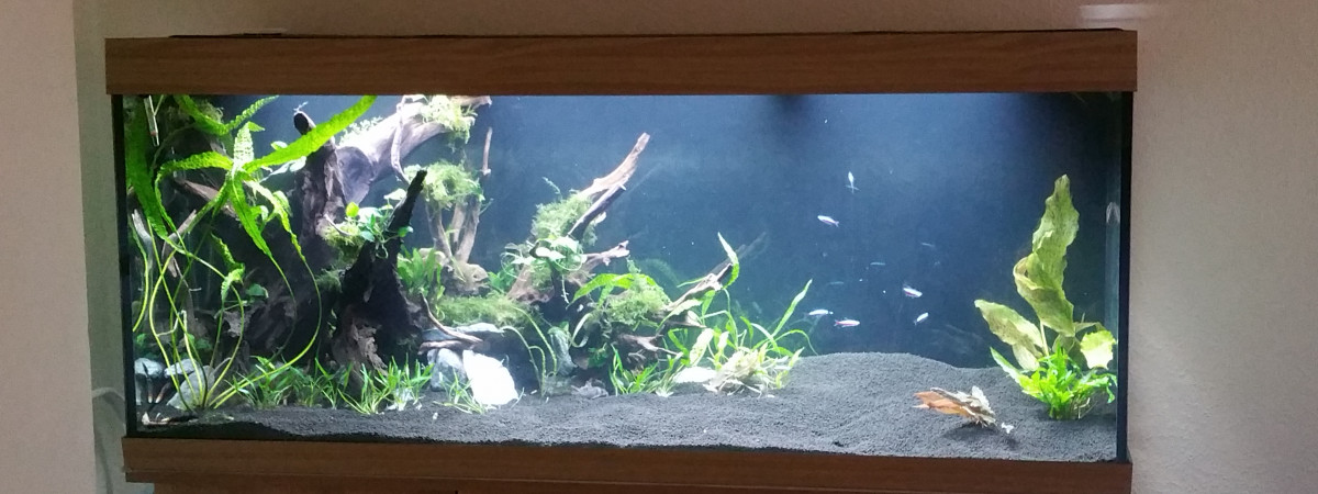 aquarium 450L