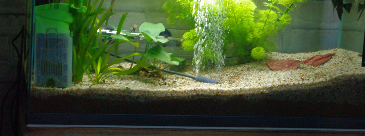 aquarium INWA/ confort 80