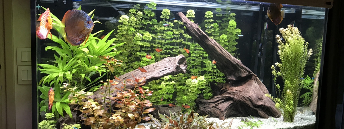 aquarium Aquatlantis 420l