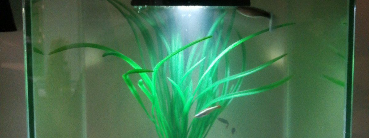 aquarium SHUI 19L