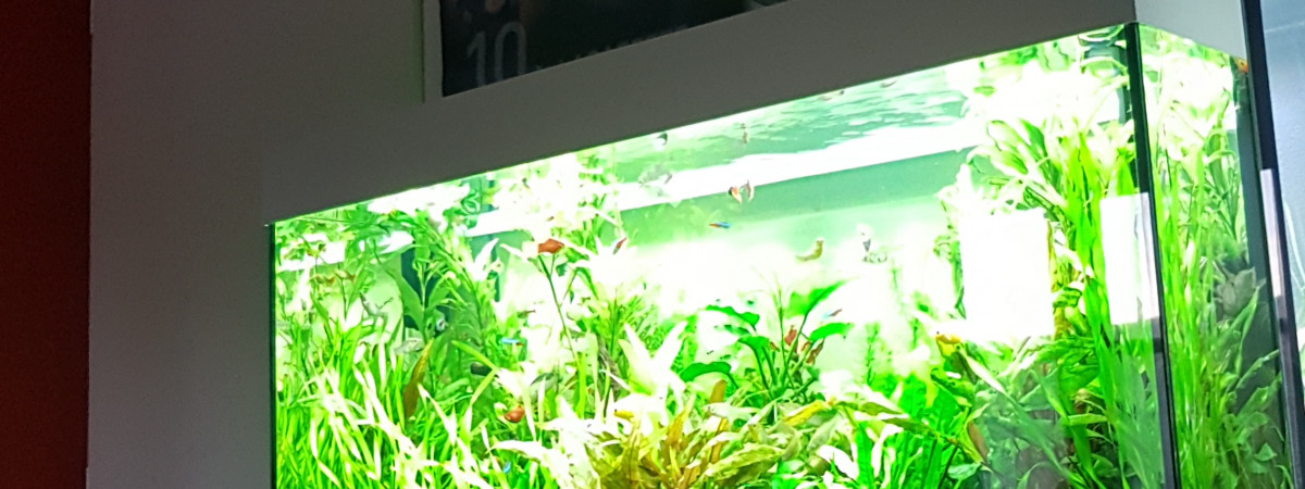 aquarium Rio 180