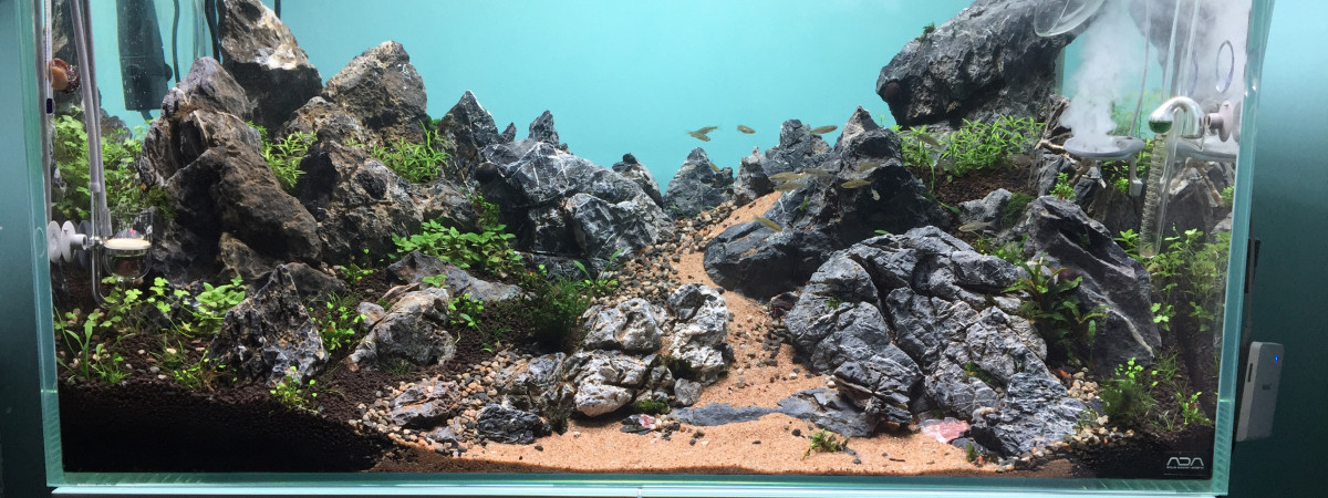 aquarium Moutainscape