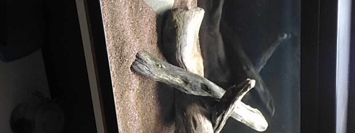 aquarium 96 litres de bonheur