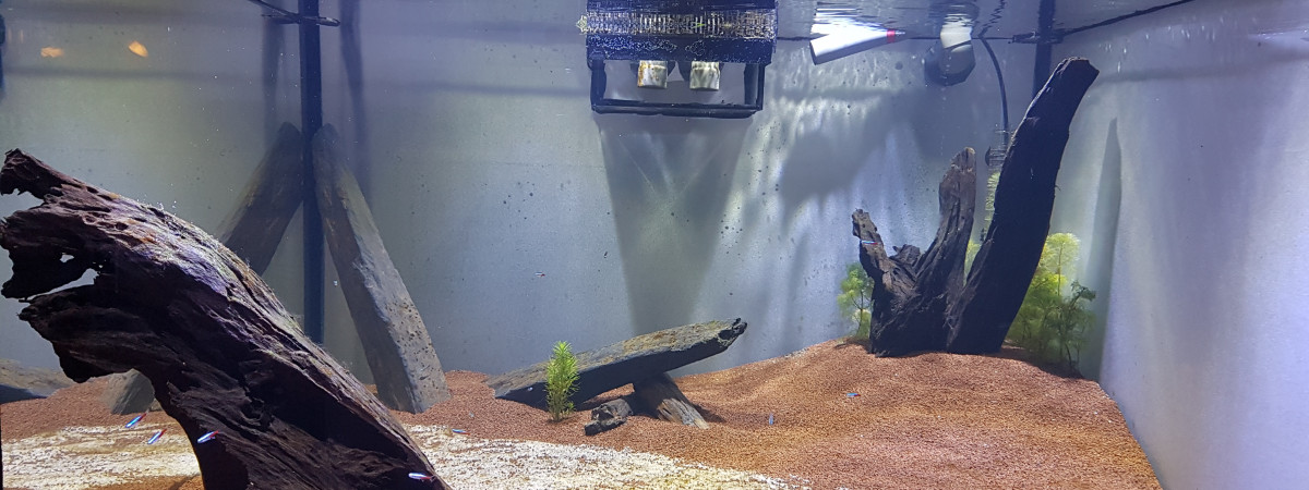 aquarium Gros bac