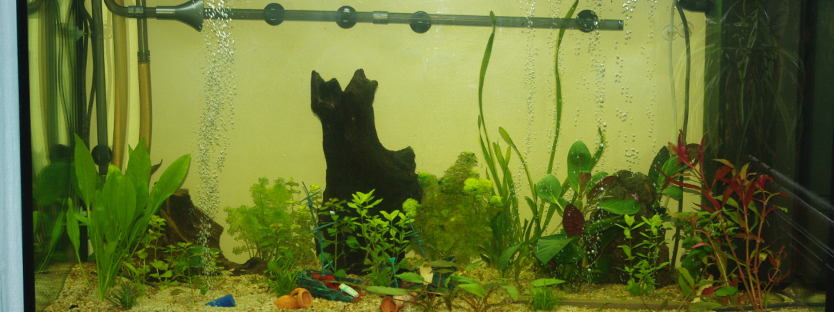 aquarium Juwel 350
