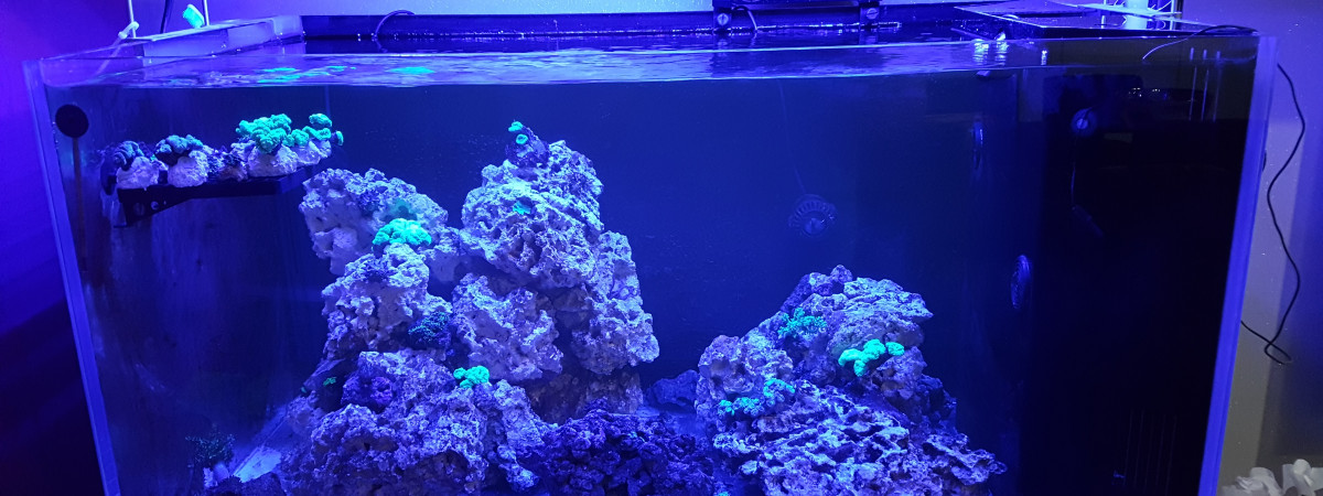 aquarium Ultra Clear 100 SW