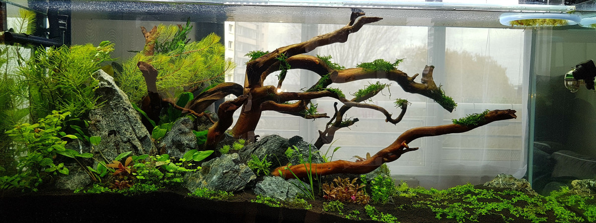 aquarium AquaKim