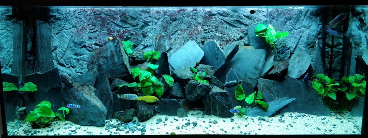 aquarium Juwel 450L