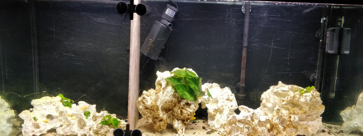 aquarium Élevage 220L