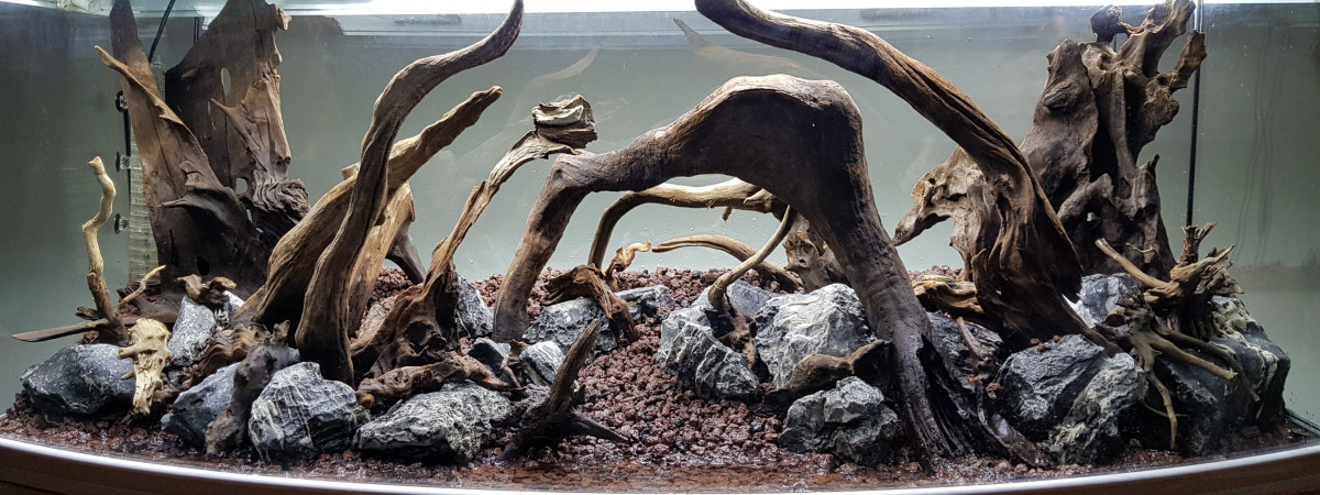 aquarium Aquascape