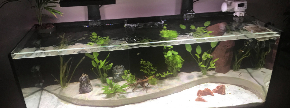 aquarium BAC450L