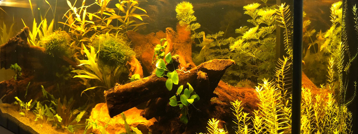 aquarium Rio 180
