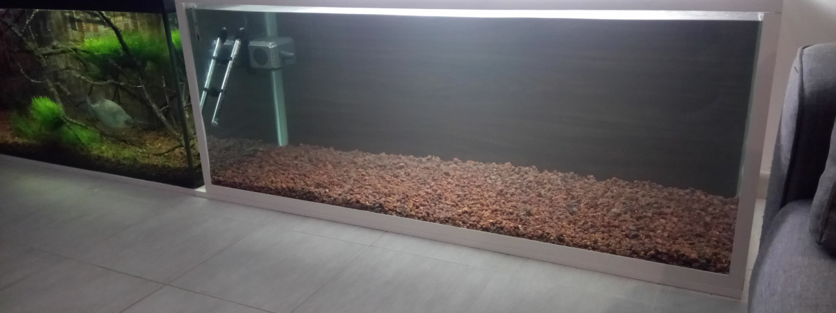 aquarium Biotope amazonien serrasalmus rhombeus