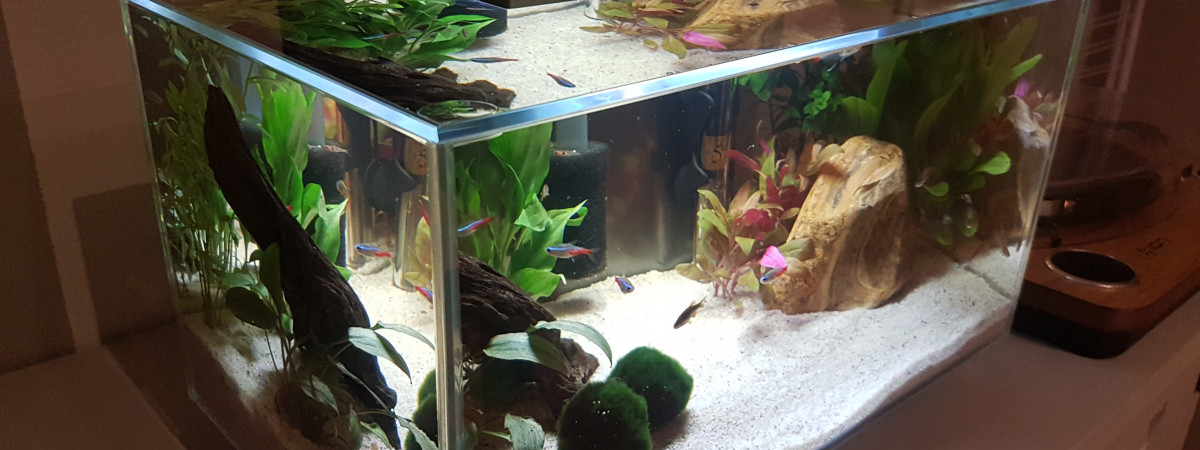 aquarium Nano