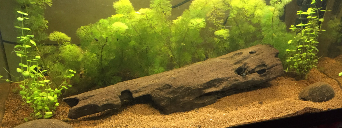 aquarium JUWEL RIO 125