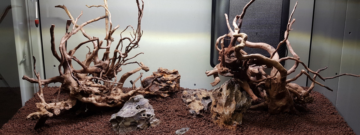 aquarium 200L