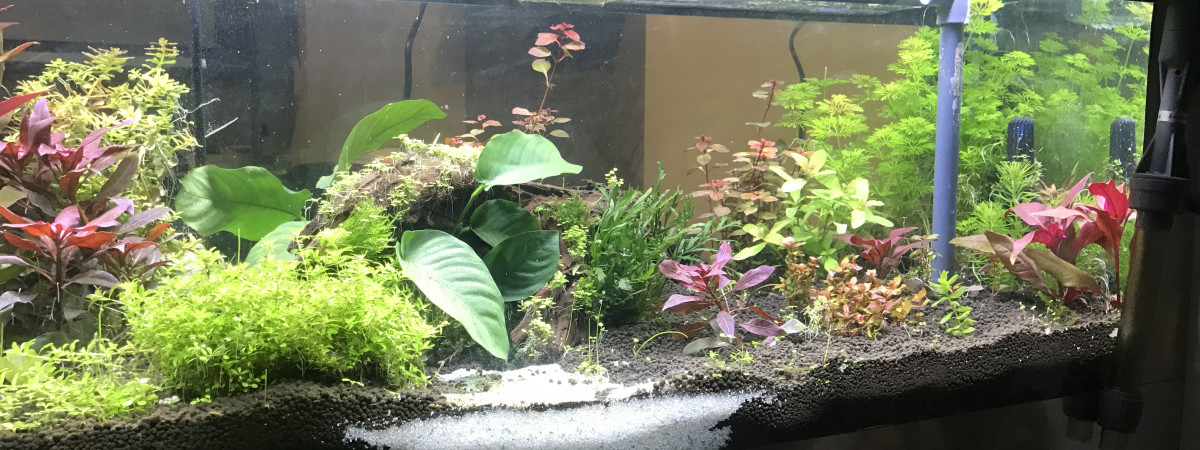 aquarium aqua170