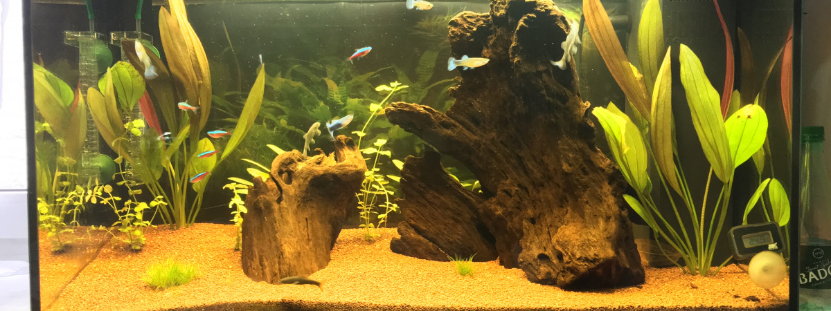 aquarium Juwel Rio 125