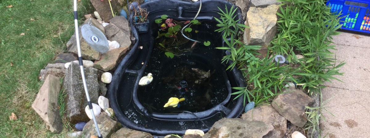 aquarium Bassin extérieur 250 litres
