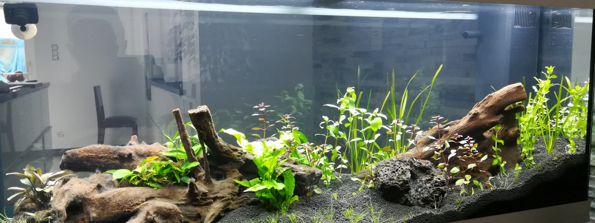 aquarium Mon premier bac