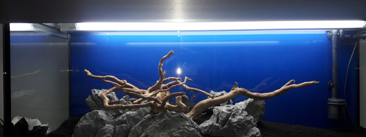 aquarium Aquadream