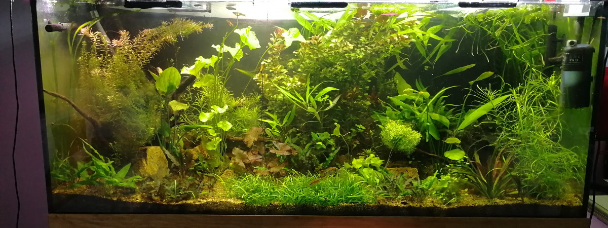 aquarium Caillosse
