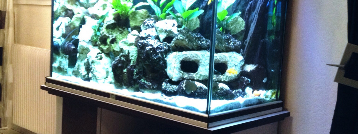 aquarium Mon bac TANGA