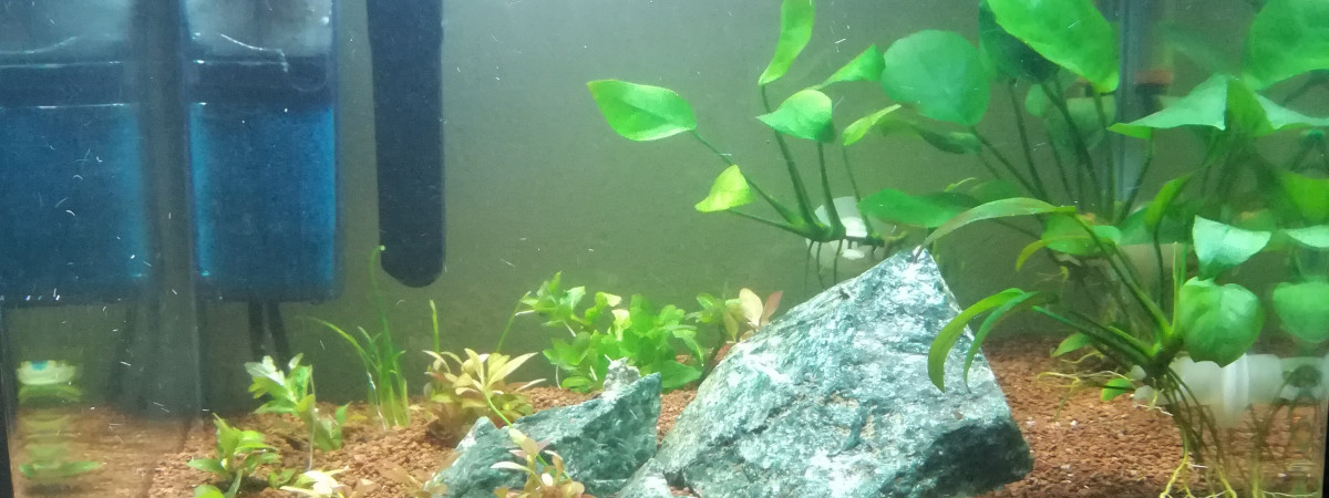 aquarium Le Petit RC