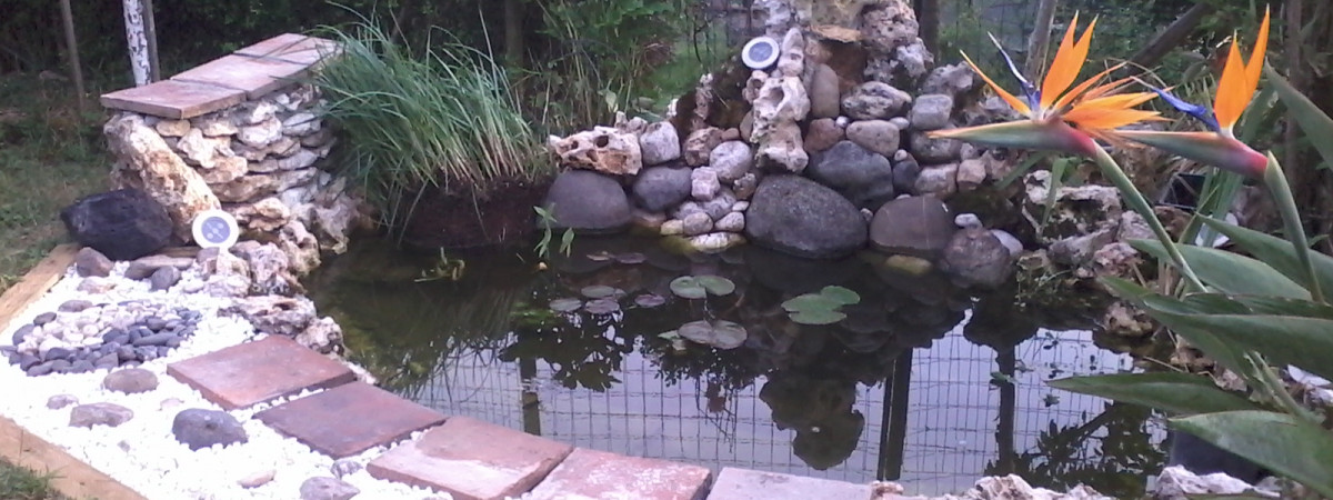 aquarium bassin
