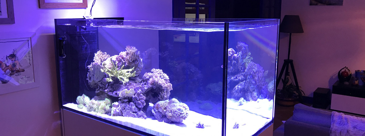 aquarium RedSea Reefer Peninsula 500