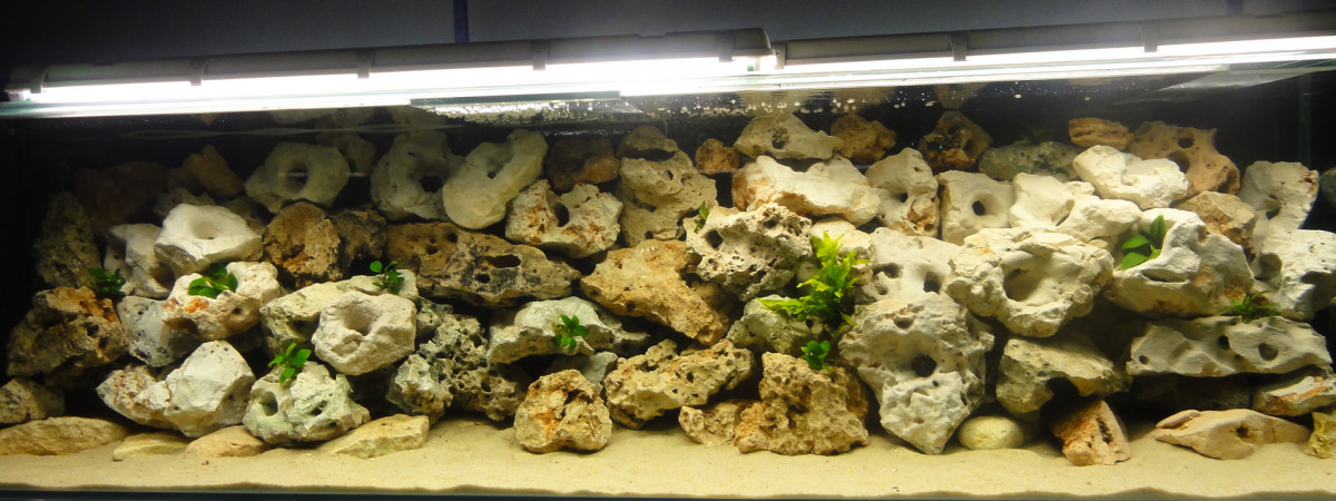 aquarium Bac de 900 L